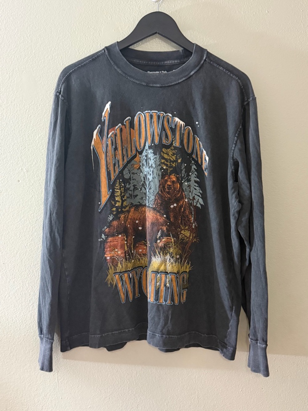 Abercrombie & Fitch Yellowstone Wyoming Bear Long Sleeve Graphic Tee